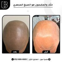 WhatsApp Image 2024-09-22 at 12.45.15